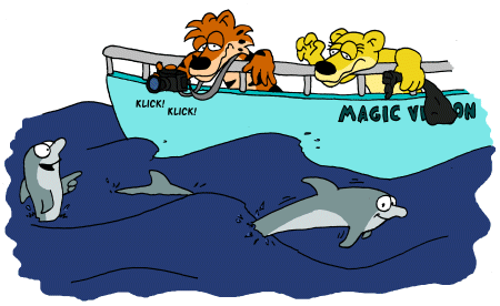 Magic Vision Dolphin-Trip
